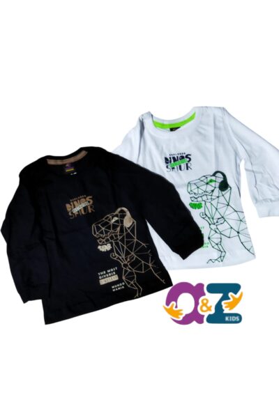 CAMISETA MANGA LONGA MEIA MALHA