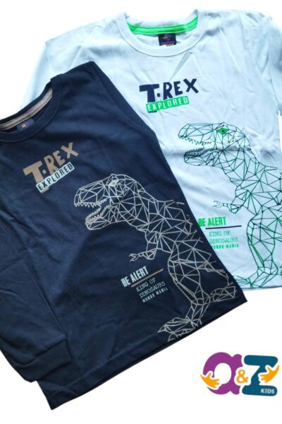 CAMISETA MANGA LONGA MEIA MALHA